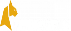 FelixSpin